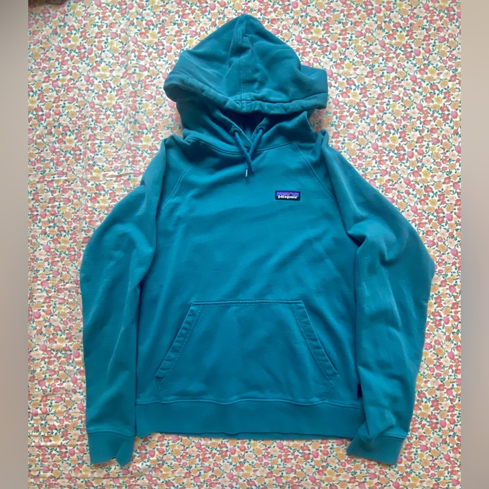 Womens Patagonia Teal Hoodie